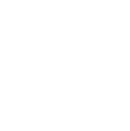 Fan Controlled Football